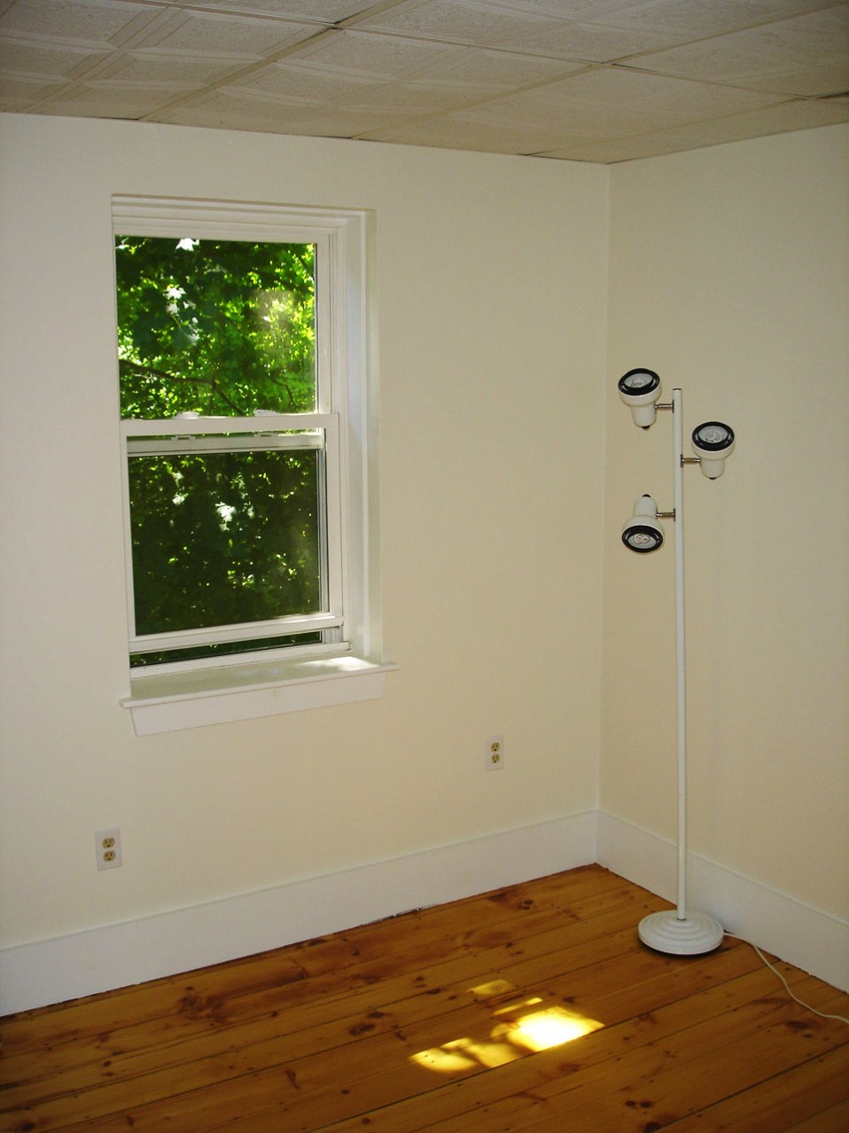 A short description about the picture goes here