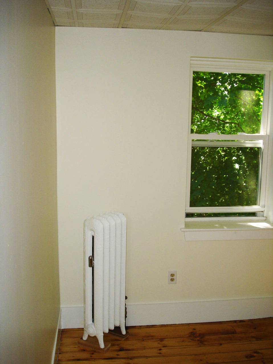 A short description about the picture goes here