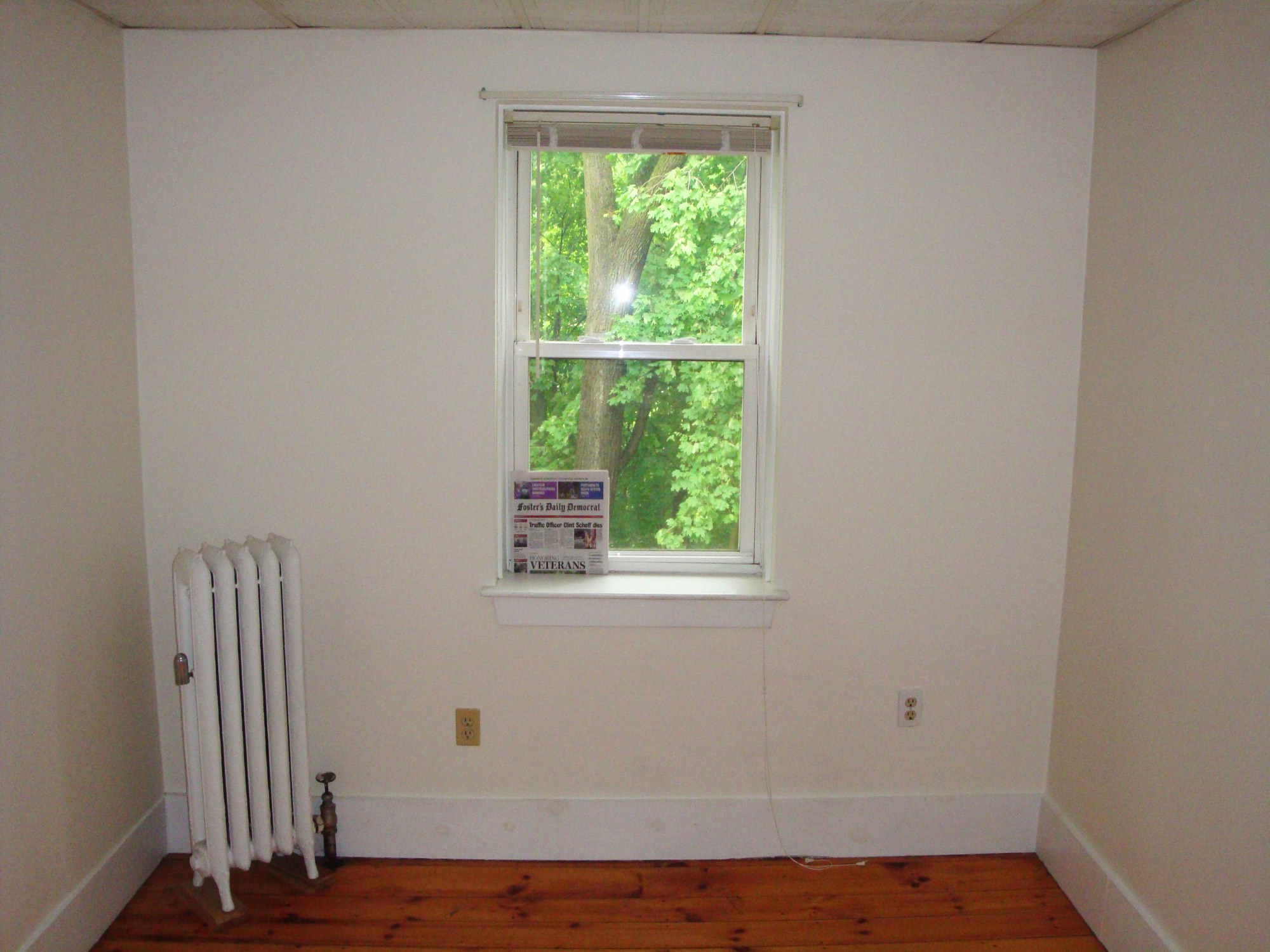 A short description about the picture goes here