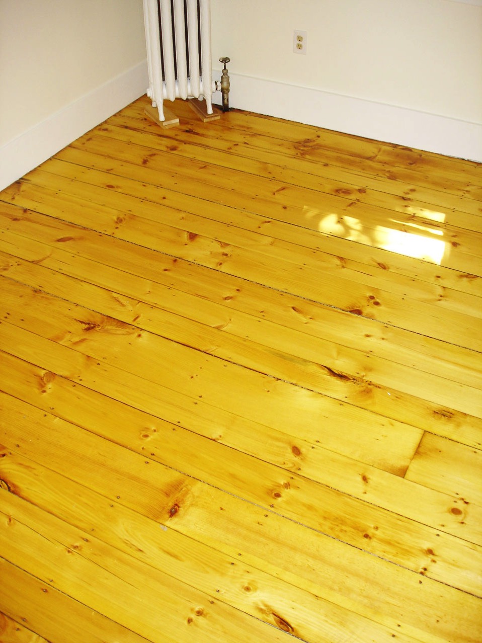 A short description about the picture goes here